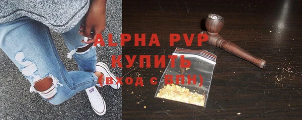 прущий лед Бородино