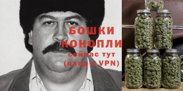 спайс Богородск
